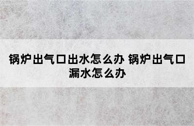 锅炉出气口出水怎么办 锅炉出气口漏水怎么办